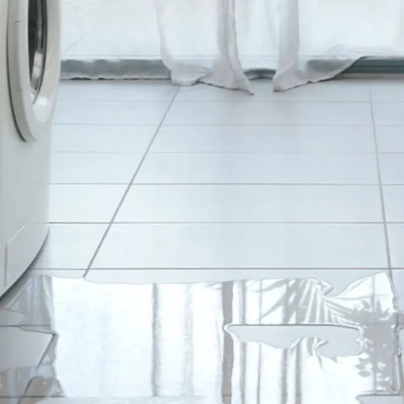 Appliance Leak Cleanup in Crystal River, FL