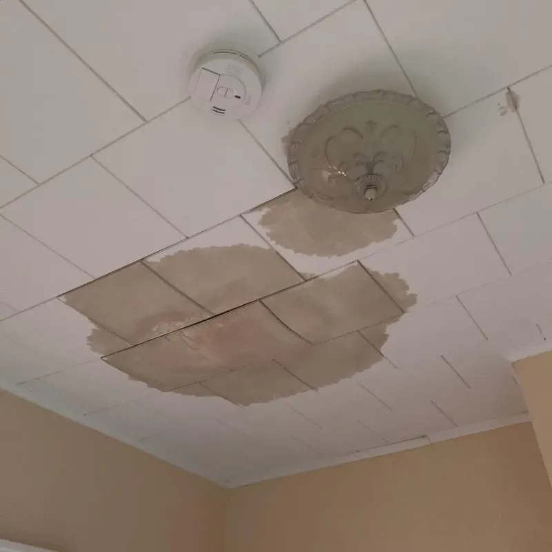 Ceiling Water Damage Repair in Crystal River, FL
